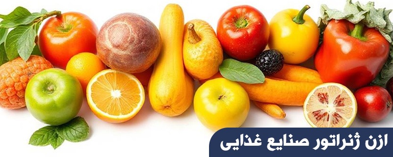 زن ژنراتور صنایع غذایی