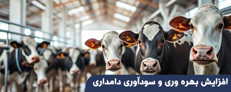افزایش بهره وری و سودآوری دامداری