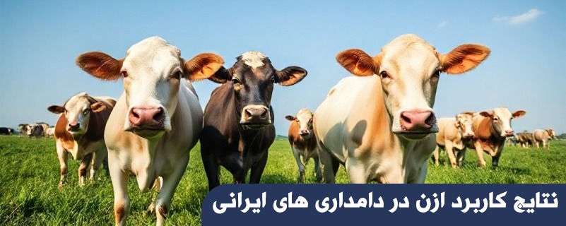 نتایج کاربرد ازن در دامداری های ایرانی