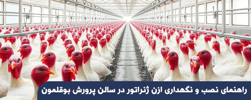 راهنمای نصب و نگهداری ازن ژنراتور در سالن پرورش بوقلمون